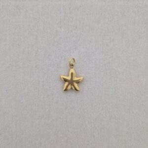 Bedel zeester - goud
